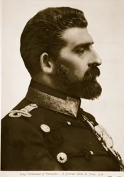 Roi Ferdinand de Roumanie : Un portrait pris en juin 1916